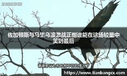 易彩堂